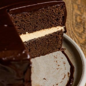 PeanutbutterDing-DongCake