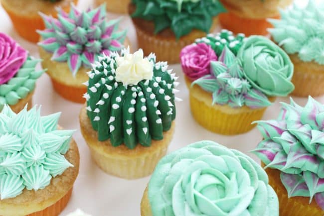 {Video} How to make succulent cupcakes!